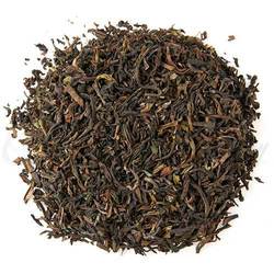 Estate Special Black Tea - Margaret's Hope Darjeeling
