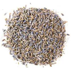 Organic Herbal Tea - Wild Tibet Lavender